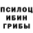Псилоцибиновые грибы прущие грибы sander9513