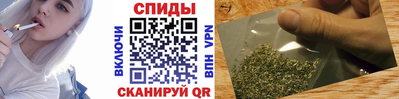 OMG tor  Саров  Бутират оксана 