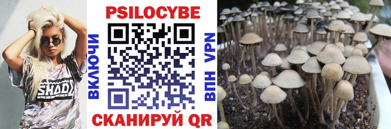 Галлюциногенные грибы прущие грибы Саров