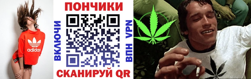кракен сайт  Саров  Каннабис индика 